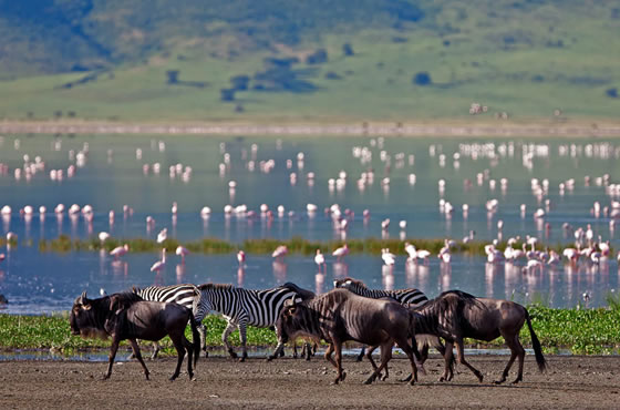 Lake Manyara National Park